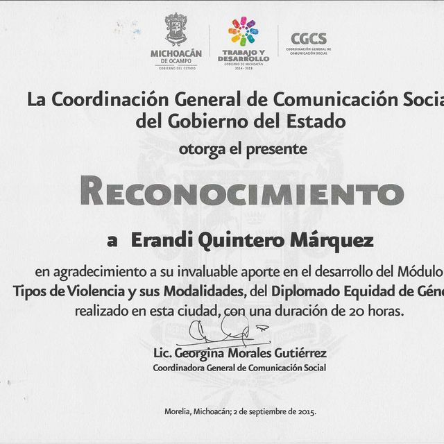 Ampliar imagen: certificate 25