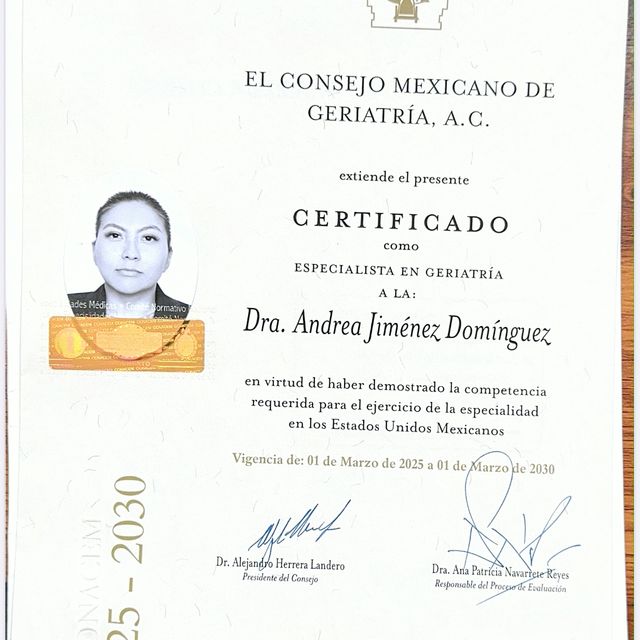 Ampliar imagen: certificate 1