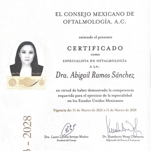 Ampliar imagen: certificate 1