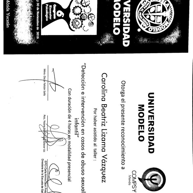 Ampliar imagen: certificate 8