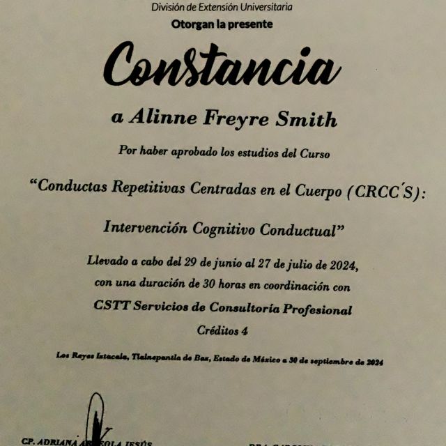 Ampliar imagen: certificate 5