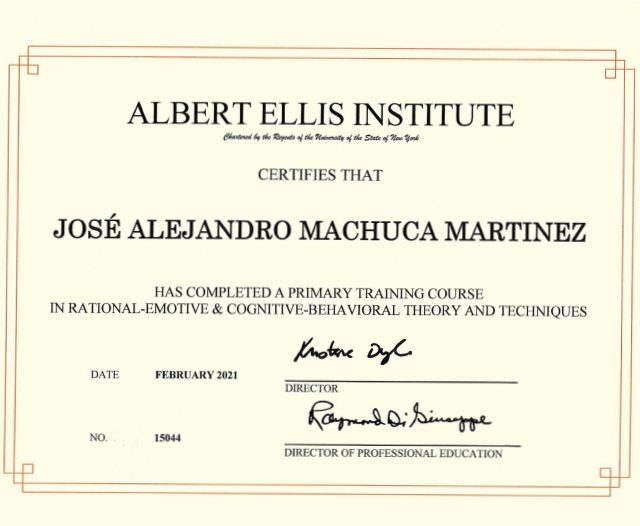 Ampliar imagen: certificate 4
