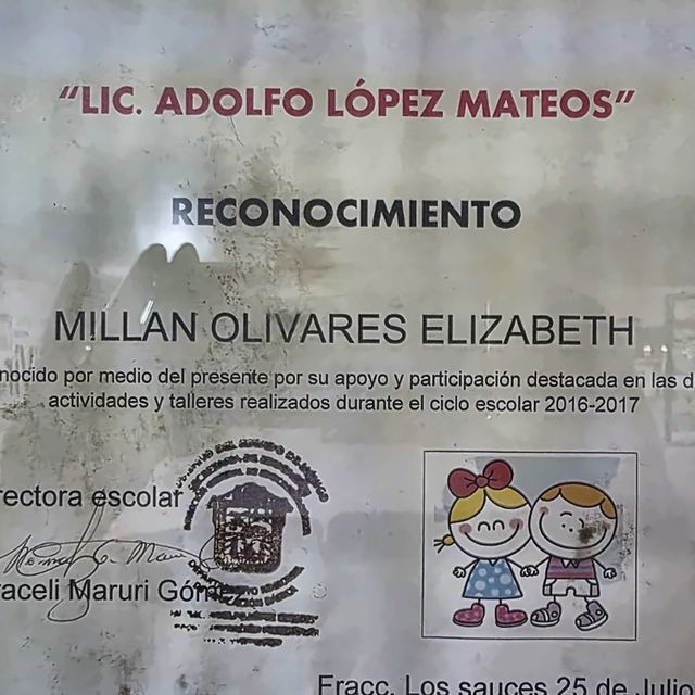 Ampliar imagen: certificate 13
