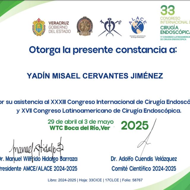 Ampliar imagen: certificate 1