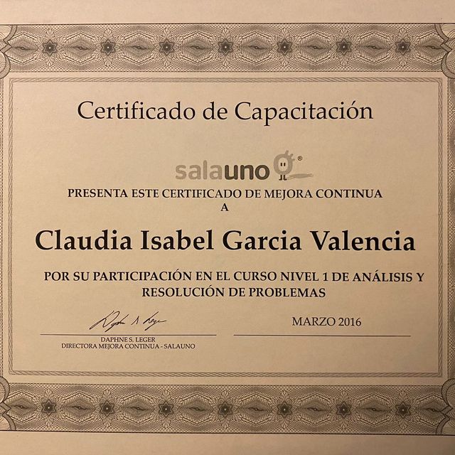 Ampliar imagen: certificate 4