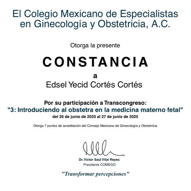 Ampliar imagen: certificate 8