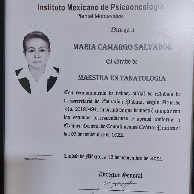 Ampliar imagen: certificate 29