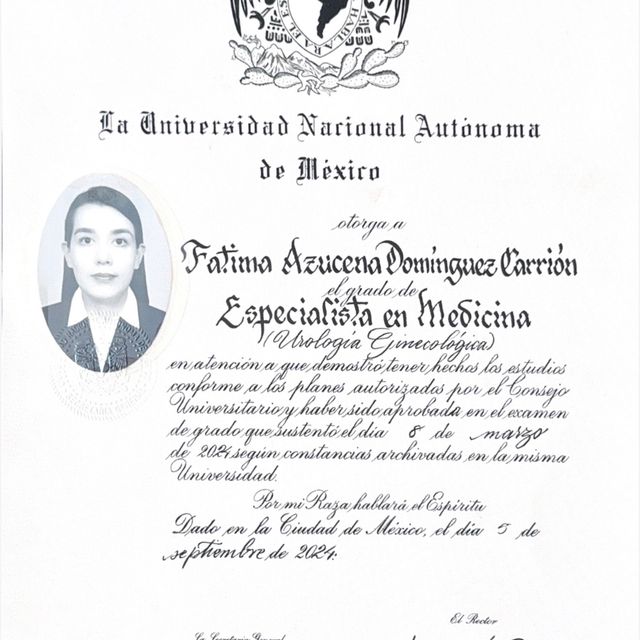 Ampliar imagen: certificate 3