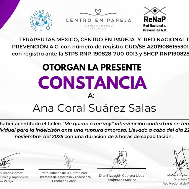 Ampliar imagen: certificate 8