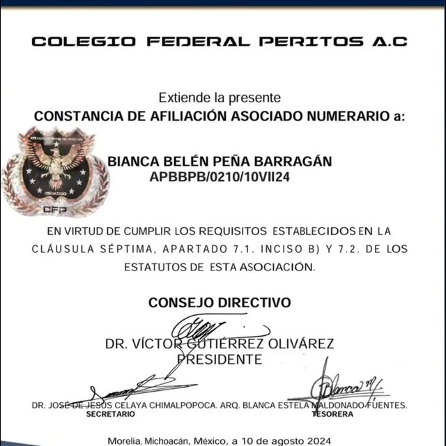 Ampliar imagen: certificate 26