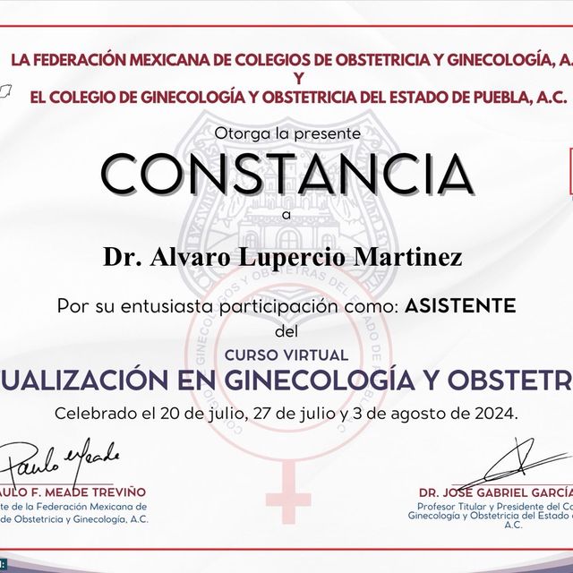 Ampliar imagen: certificate 30
