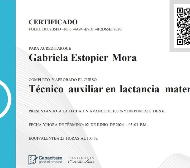 Ampliar imagen: certificate 1