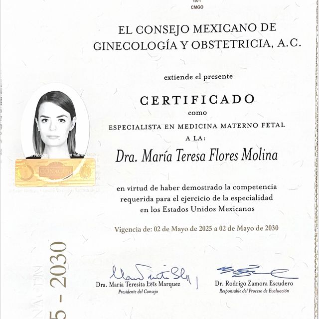 Ampliar imagen: certificate 10
