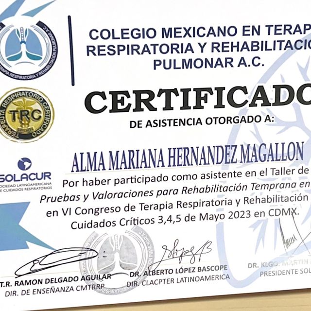 Ampliar imagen: certificate 3
