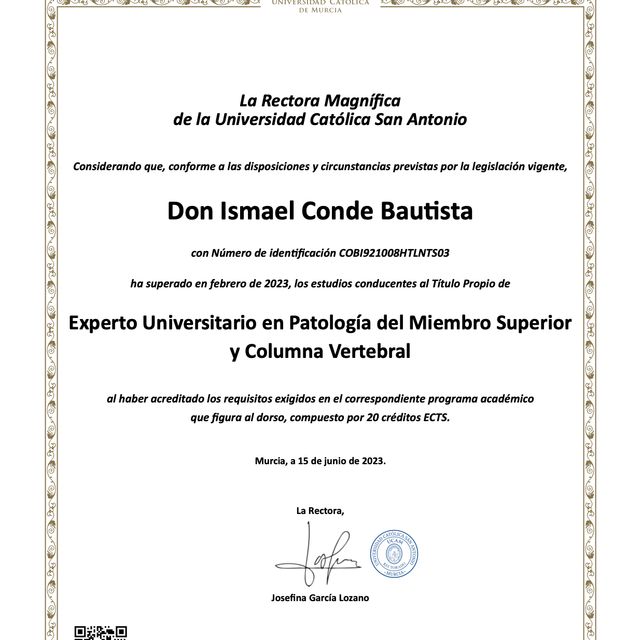 Ampliar imagen: certificate 3