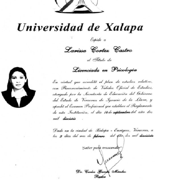 Ampliar imagen: certificate 2