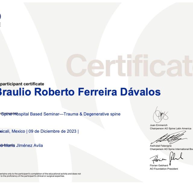 Ampliar imagen: certificate 1