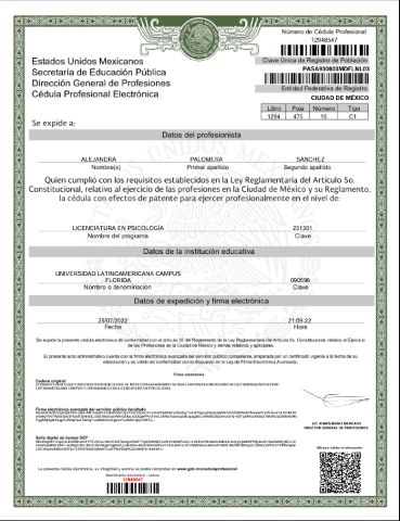 Ampliar imagen: certificate 2