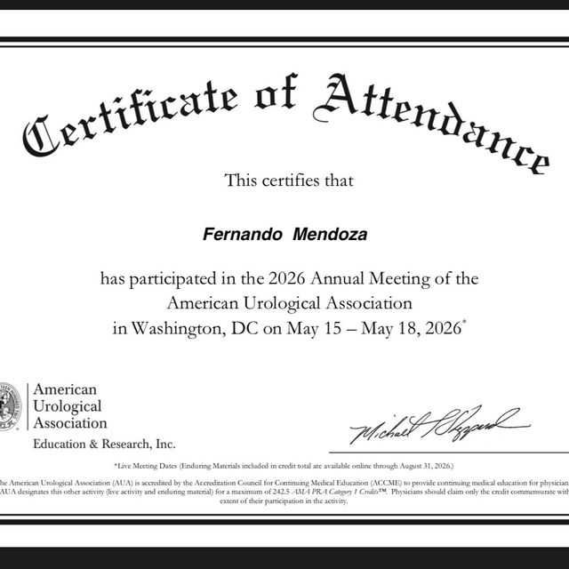 Ampliar imagen: certificate 4