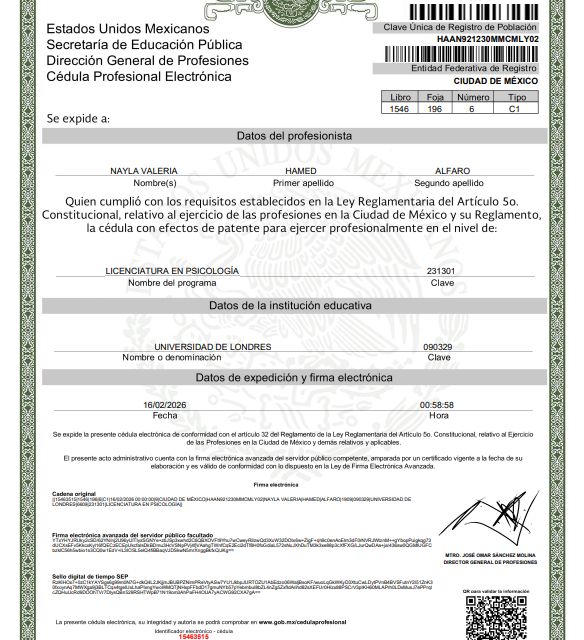 Ampliar imagen: certificate 1