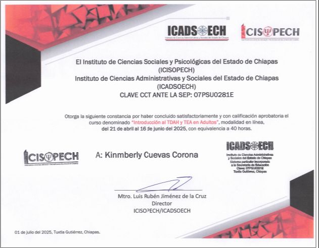 Ampliar imagen: certificate 2