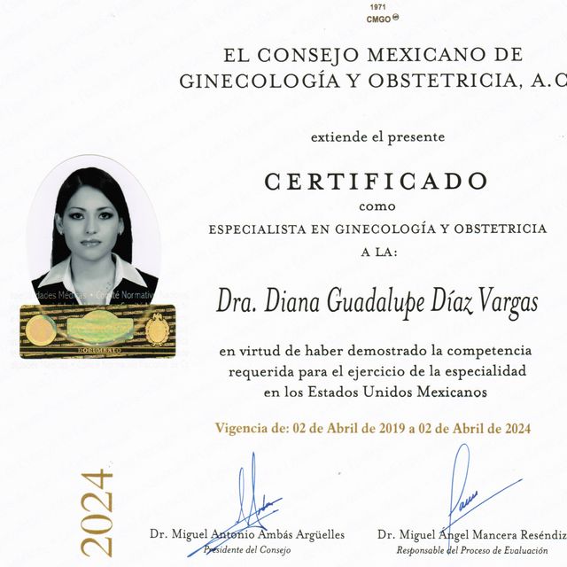 Ampliar imagen: certificate 3