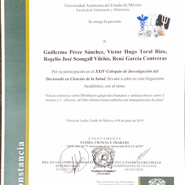 Ampliar imagen: certificate 13