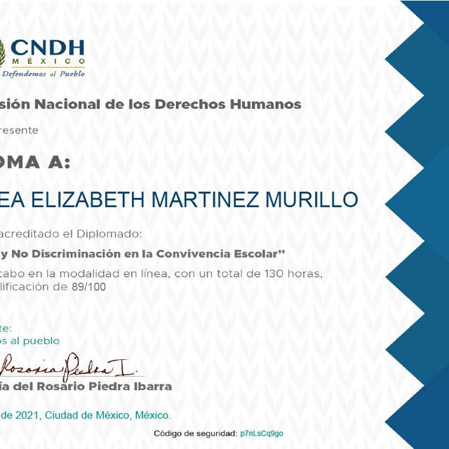 Ampliar imagen: certificate 26