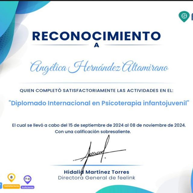 Ampliar imagen: certificate 2