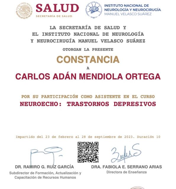 Ampliar imagen: certificate 7