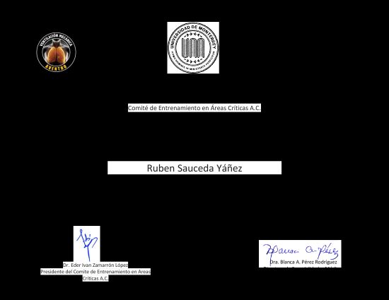 Ampliar imagen: certificate 13