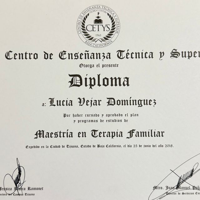 Ampliar imagen: certificate 3