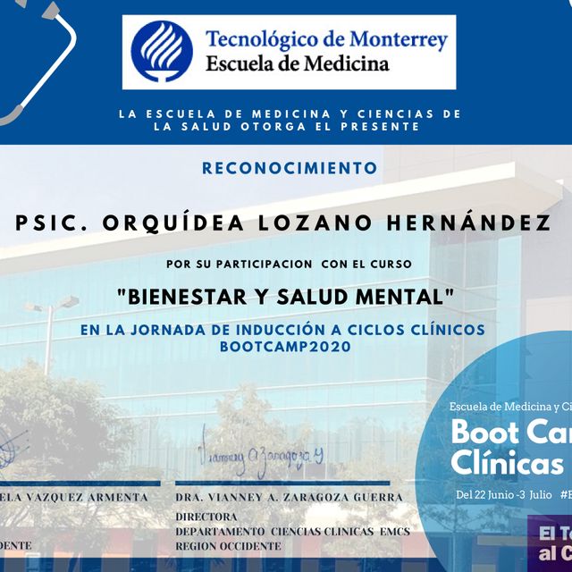 Ampliar imagen: certificate 15