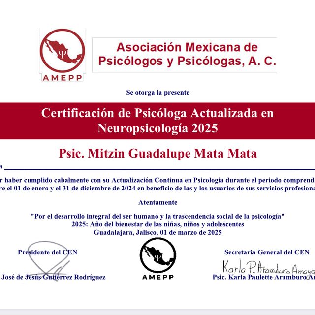 Ampliar imagen: certificate 1