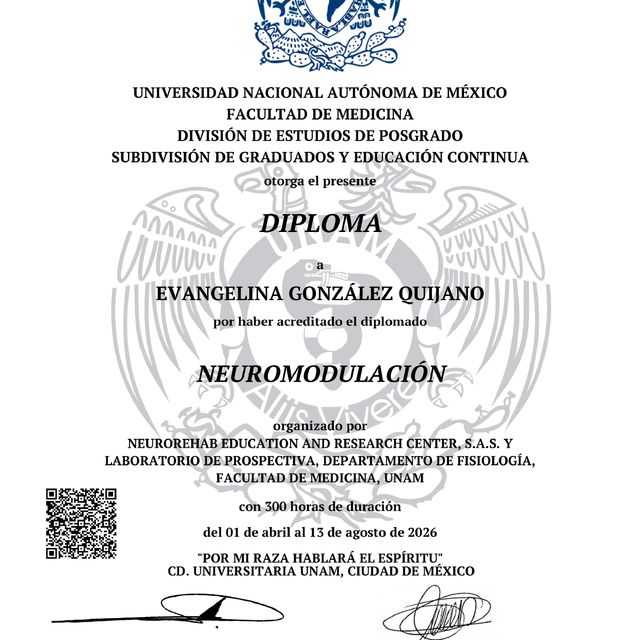 Ampliar imagen: certificate 2