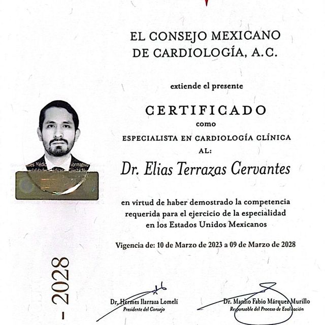 Ampliar imagen: certificate 1
