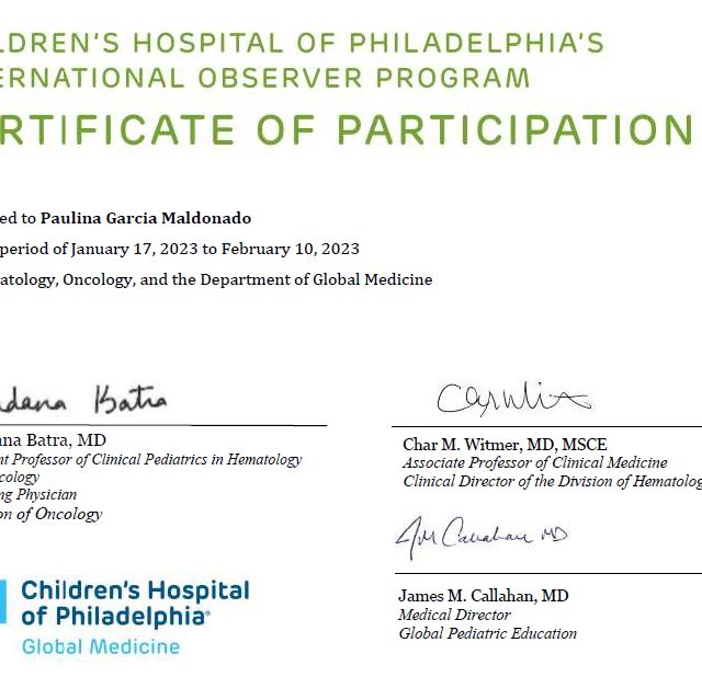 Ampliar imagen: certificate 1