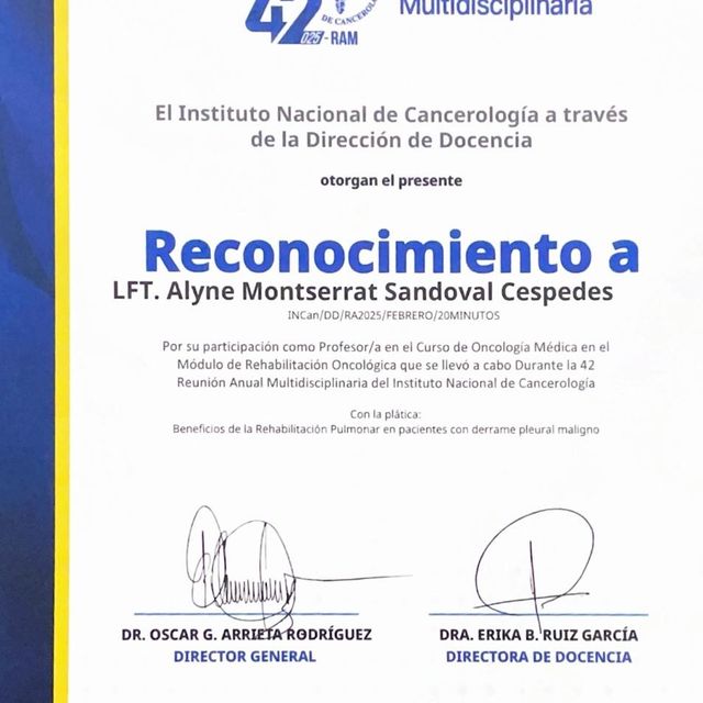 Ampliar imagen: certificate 11
