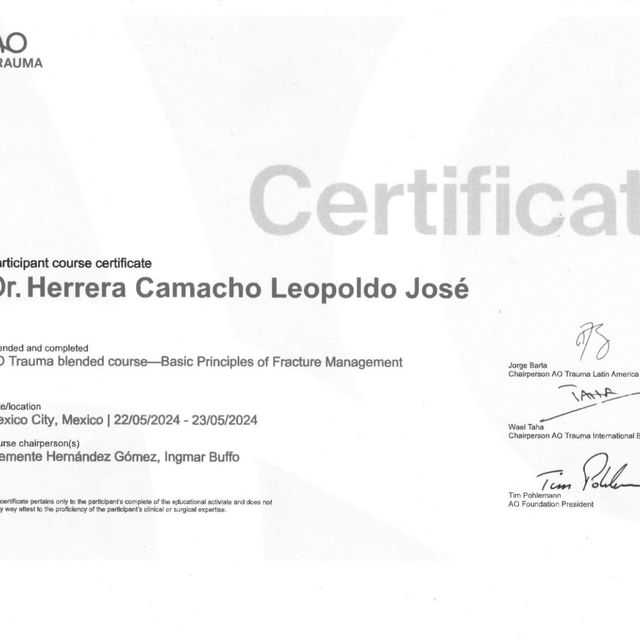 Ampliar imagen: certificate 4