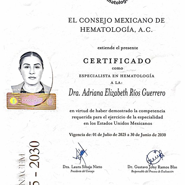 Ampliar imagen: certificate 1