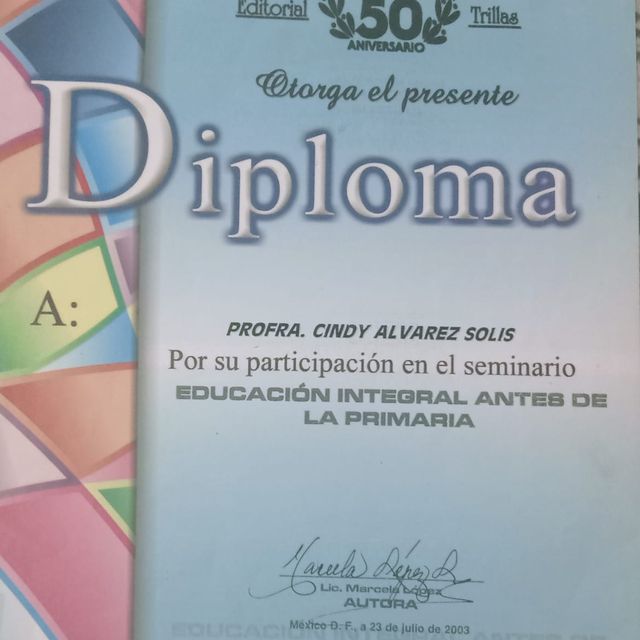 Ampliar imagen: certificate 13