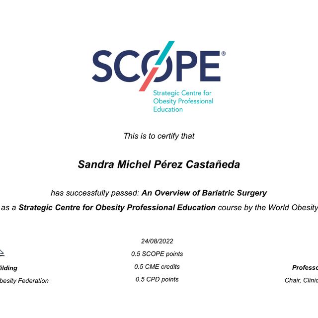 Ampliar imagen: certificate 29