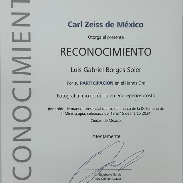 Ampliar imagen: certificate 3