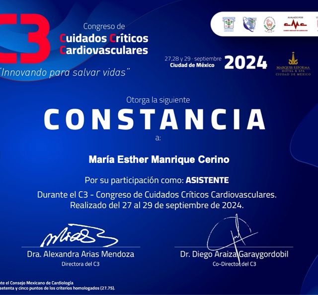 Ampliar imagen: certificate 6