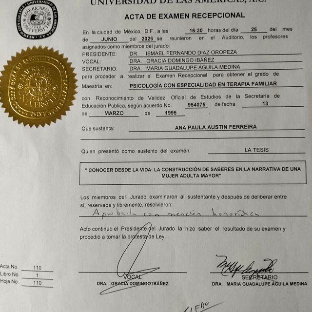Ampliar imagen: certificate 1