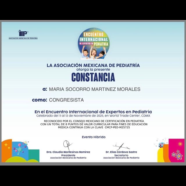 Ampliar imagen: certificate 4