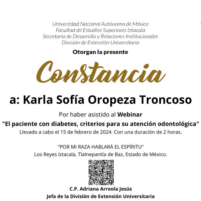 Ampliar imagen: certificate 3