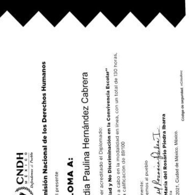 Ampliar imagen: certificate 2