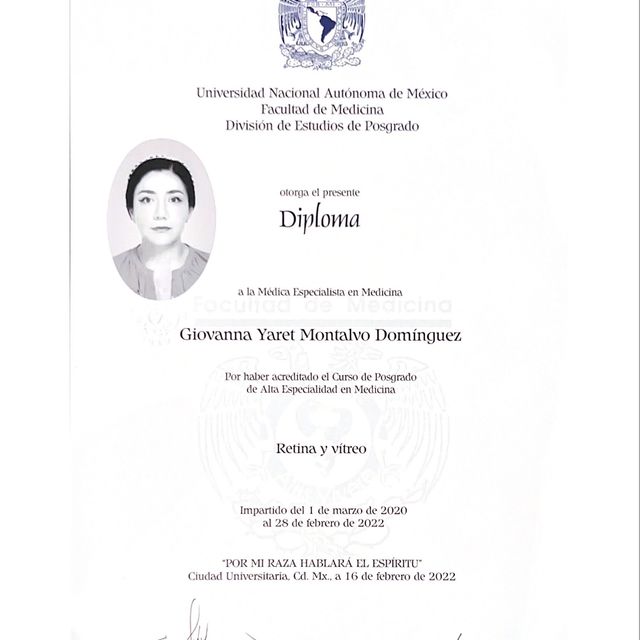 Ampliar imagen: certificate 7