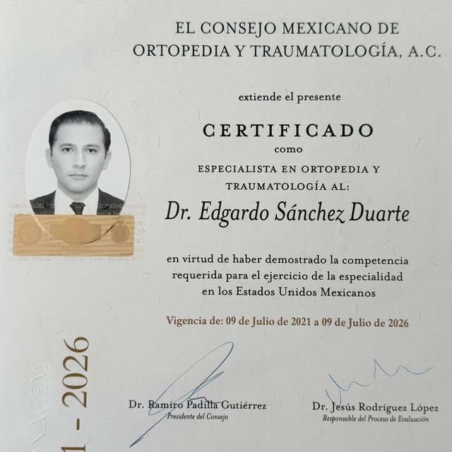 Ampliar imagen: certificate 5